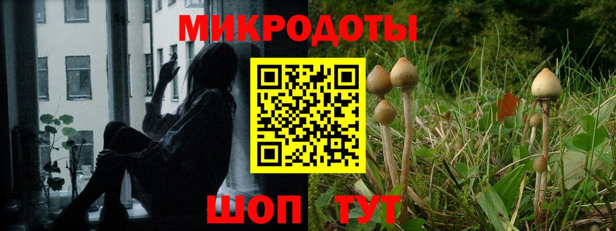 Псилоцибиновые грибы MAGIC MUSHROOMS  Вход с VPN  Чапаевск 